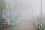 Indie - mlha v Shimle 2