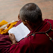 Cestování po Indii a Nepálu: Boudha, Pashupatinath, Patán