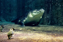 Underwater Zoo v Dubai Mall