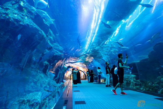 Tunel přes akvárium